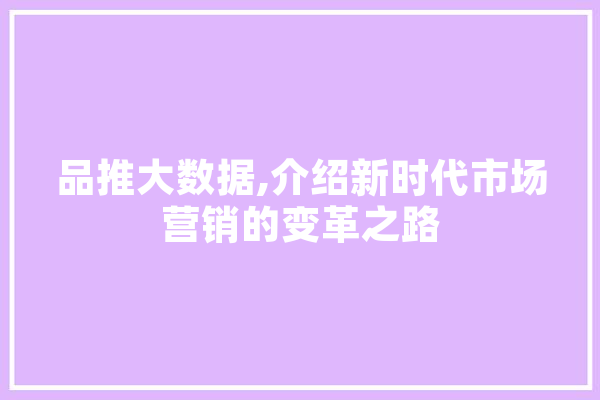 品推大数据,介绍新时代市场营销的变革之路