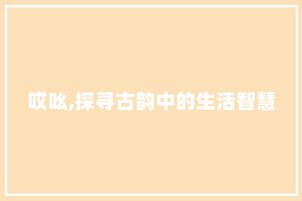 哎吆,探寻古韵中的生活智慧