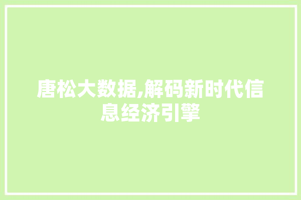 唐松大数据,解码新时代信息经济引擎 计算机