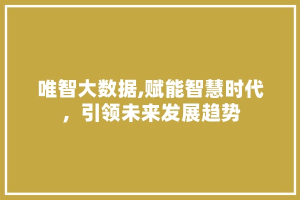 唯智大数据,赋能智慧时代，引领未来发展趋势