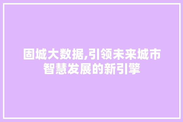 固城大数据,引领未来城市智慧发展的新引擎 文字写作