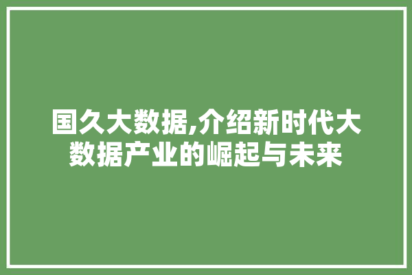 国久大数据,介绍新时代大数据产业的崛起与未来 绘影字幕