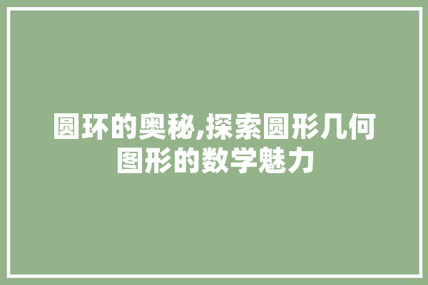 圆环的奥秘,探索圆形几何图形的数学魅力
