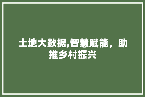 土地大数据,智慧赋能，助推乡村振兴