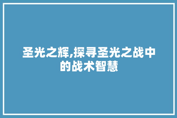 圣光之辉,探寻圣光之战中的战术智慧