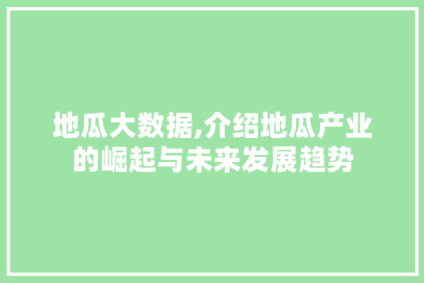 地瓜大数据,介绍地瓜产业的崛起与未来发展趋势