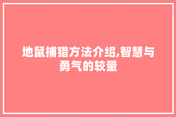 地鼠捕猎方法介绍,智慧与勇气的较量