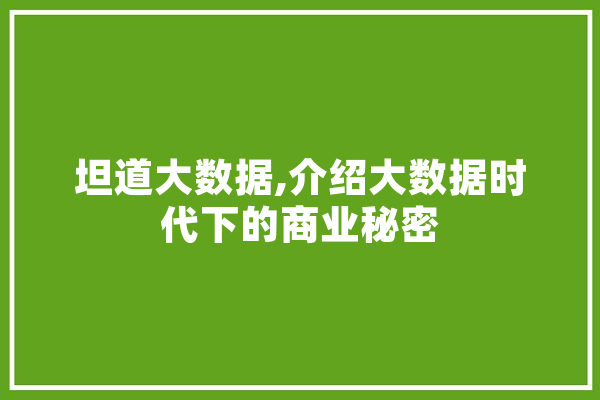 坦道大数据,介绍大数据时代下的商业秘密 科技快讯