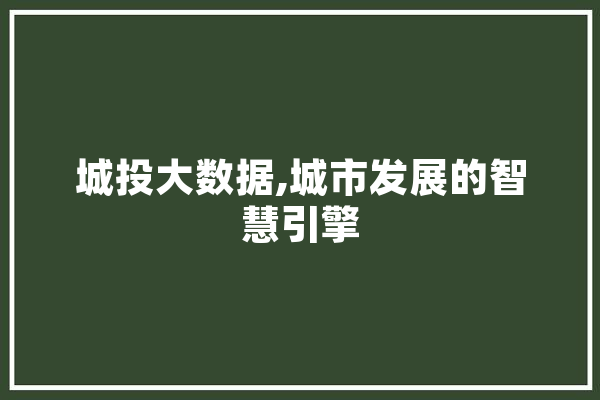 城投大数据,城市发展的智慧引擎 计算机