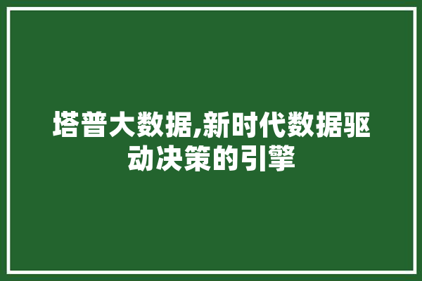 塔普大数据,新时代数据驱动决策的引擎