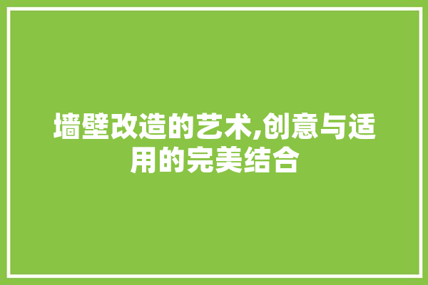 墙壁改造的艺术,创意与适用的完美结合