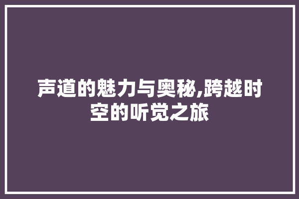 声道的魅力与奥秘,跨越时空的听觉之旅