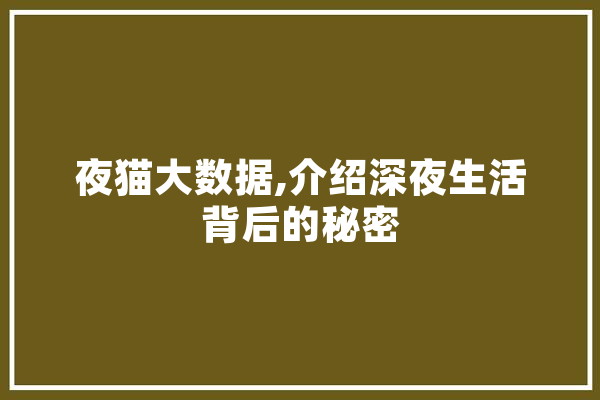 夜猫大数据,介绍深夜生活背后的秘密 智能助手