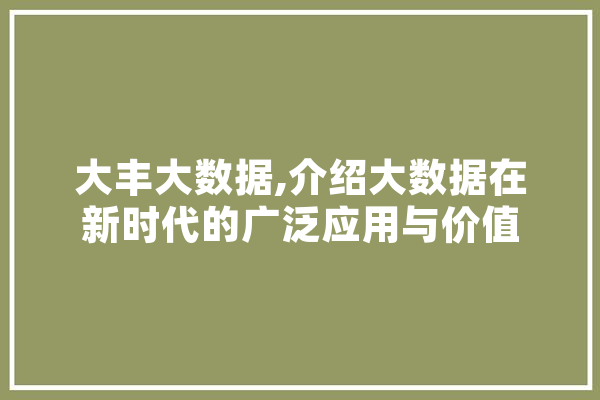 大丰大数据,介绍大数据在新时代的广泛应用与价值 科技快讯