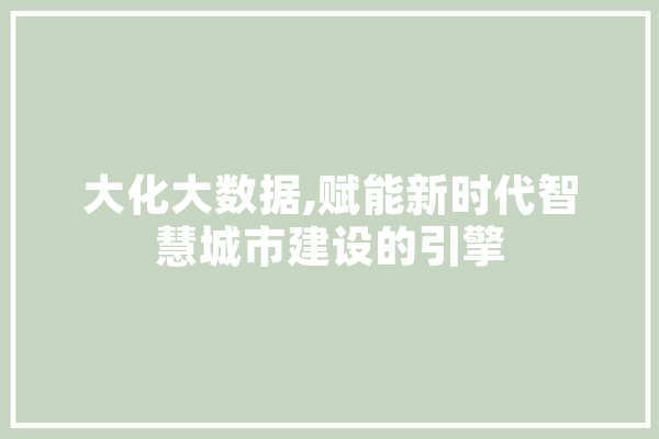 大化大数据,赋能新时代智慧城市建设的引擎 绘影字幕