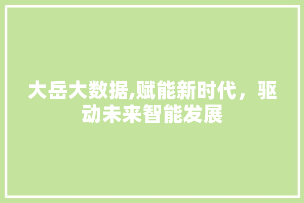 大岳大数据,赋能新时代，驱动未来智能发展 文字写作