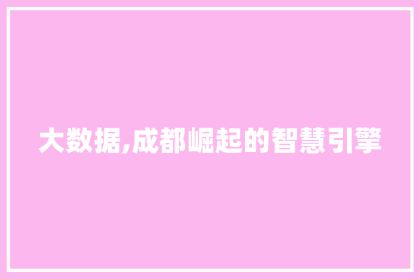 大数据,成都崛起的智慧引擎 AI快讯