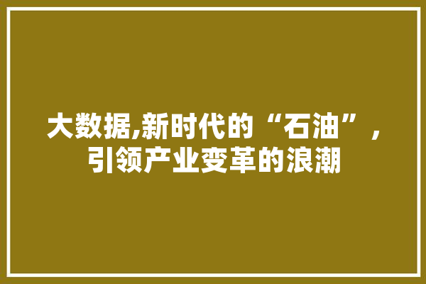 大数据,新时代的“石油”，引领产业变革的浪潮
