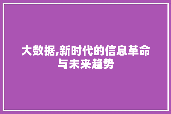 大数据,新时代的信息革命与未来趋势