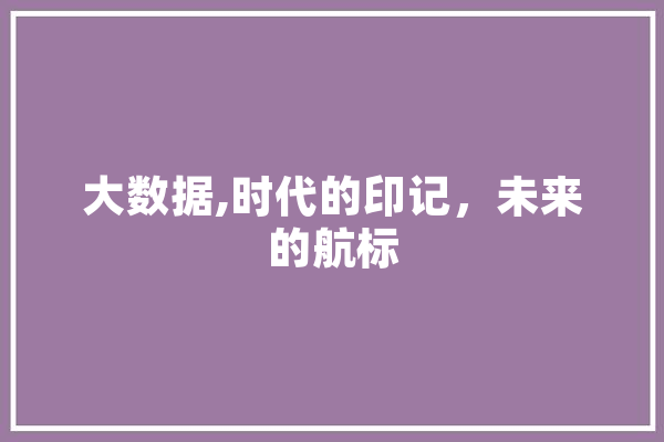 大数据,时代的印记，未来的航标 智能助手