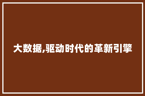 大数据,驱动时代的革新引擎