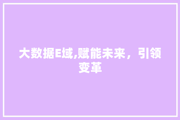 大数据E域,赋能未来，引领变革