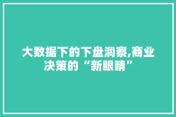 大数据下的下盘洞察,商业决策的“新眼睛”
