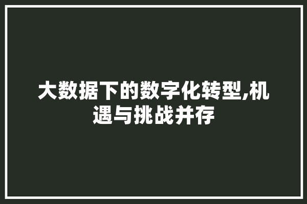 大数据下的数字化转型,机遇与挑战并存 智能问答