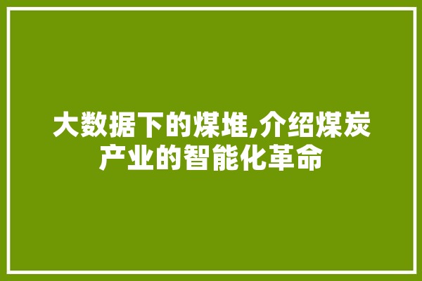 大数据下的煤堆,介绍煤炭产业的智能化革命