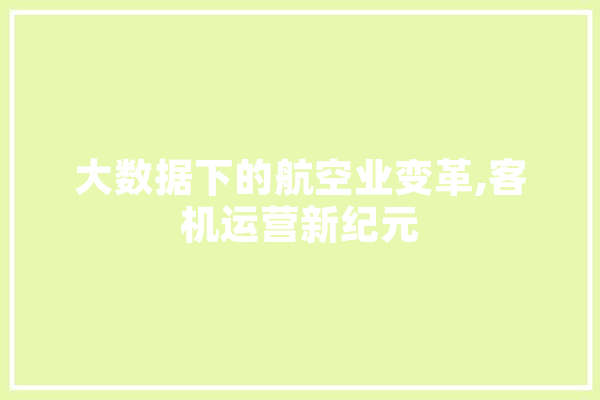 大数据下的航空业变革,客机运营新纪元
