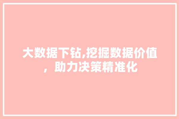 大数据下钻,挖掘数据价值，助力决策精准化