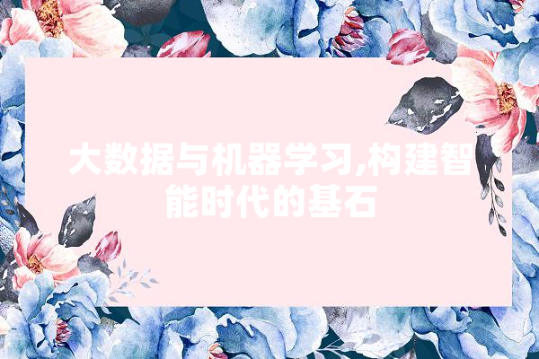 大数据与机器学习,构建智能时代的基石