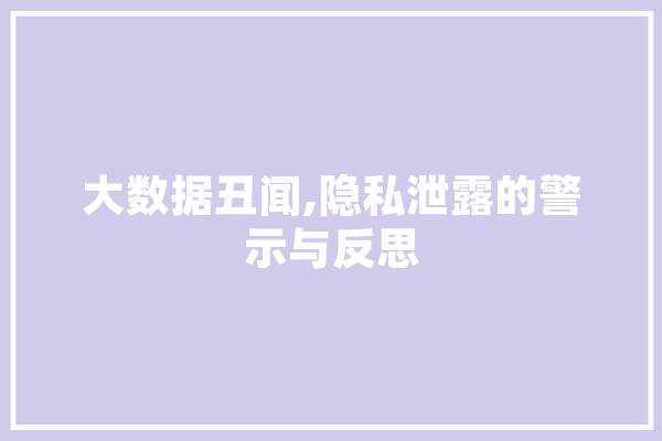 大数据丑闻,隐私泄露的警示与反思 绘影字幕