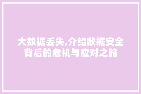 大数据丢失,介绍数据安全背后的危机与应对之路