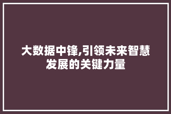 大数据中锋,引领未来智慧发展的关键力量 科技快讯
