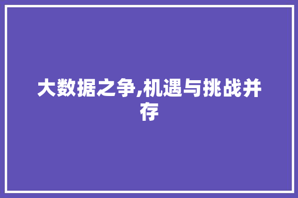 大数据之争,机遇与挑战并存