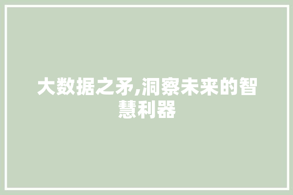 大数据之矛,洞察未来的智慧利器 绘影字幕