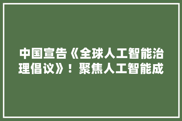 中国宣告《全球人工智能治理倡议》！聚焦人工智能成长、安然、治理_人工智能_全球