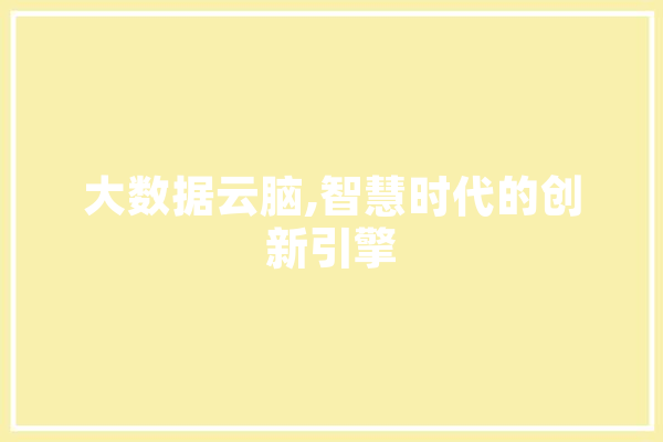 大数据云脑,智慧时代的创新引擎
