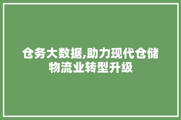 仓务大数据,助力现代仓储物流业转型升级