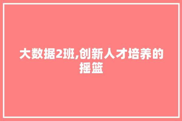 大数据2班,创新人才培养的摇篮