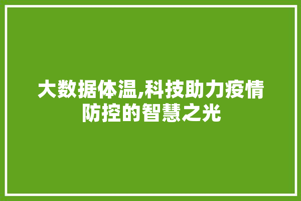 大数据体温,科技助力疫情防控的智慧之光