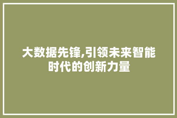 大数据先锋,引领未来智能时代的创新力量