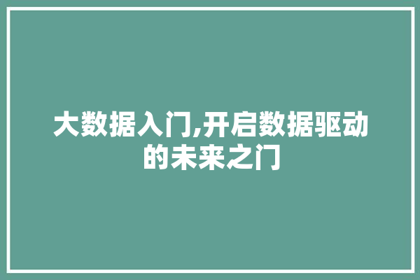 大数据入门,开启数据驱动的未来之门