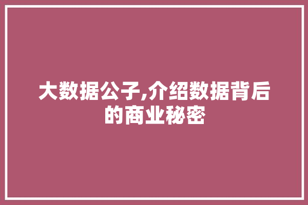 大数据公子,介绍数据背后的商业秘密