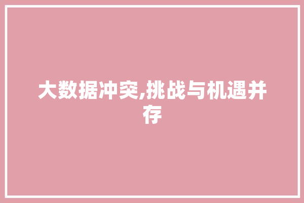 大数据冲突,挑战与机遇并存 文字写作