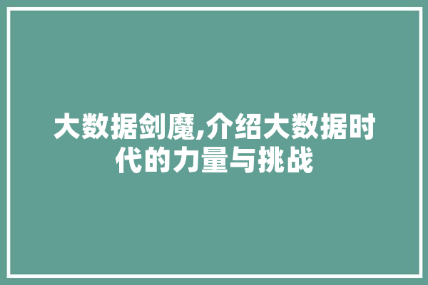 大数据剑魔,介绍大数据时代的力量与挑战
