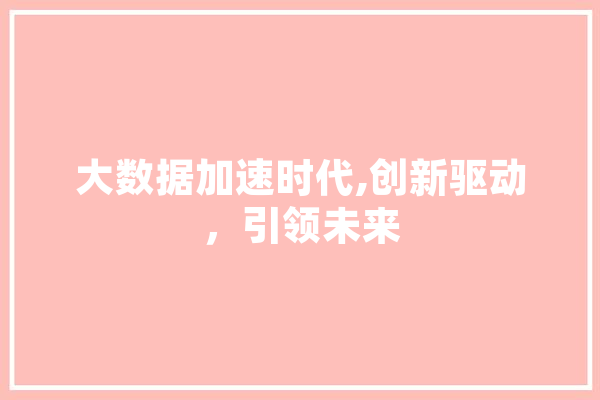 大数据加速时代,创新驱动，引领未来