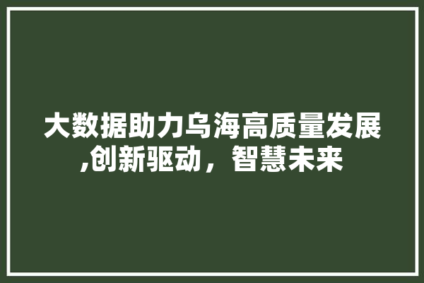 大数据助力乌海高质量发展,创新驱动，智慧未来 云服务