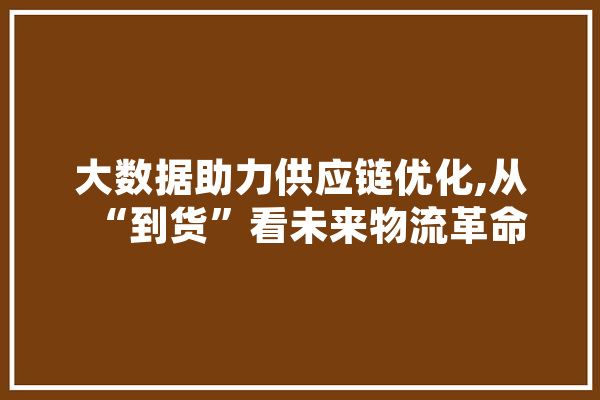 大数据助力供应链优化,从“到货”看未来物流革命